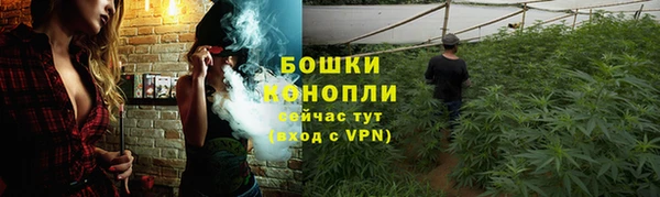 бошки Лабытнанги