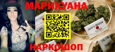 мяу мяу мука Гатчина