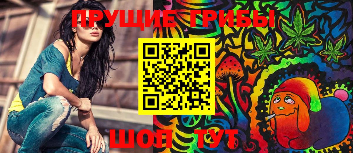 Галлюциногенные грибы GOLDEN TEACHER  Галлюциногенные грибы Cubensis  Малоярославец  Вход с VPN 