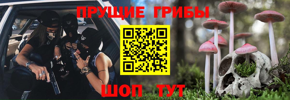 Псилоцибиновые грибы мицелий Малоярославец