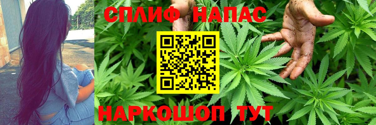 Шишки марихуана OG Kush Малоярославец